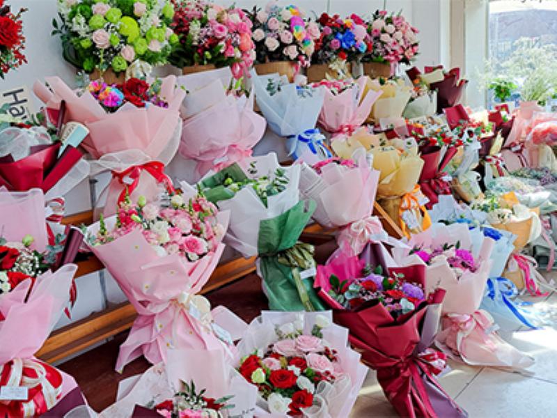 Giá hoa cẩm chướng thay đổi tùy theo màu sắc phổ biến hay độc đáo và nhu cầu thị trường
